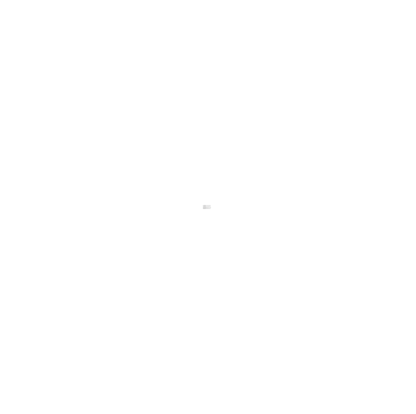 BRAND 21