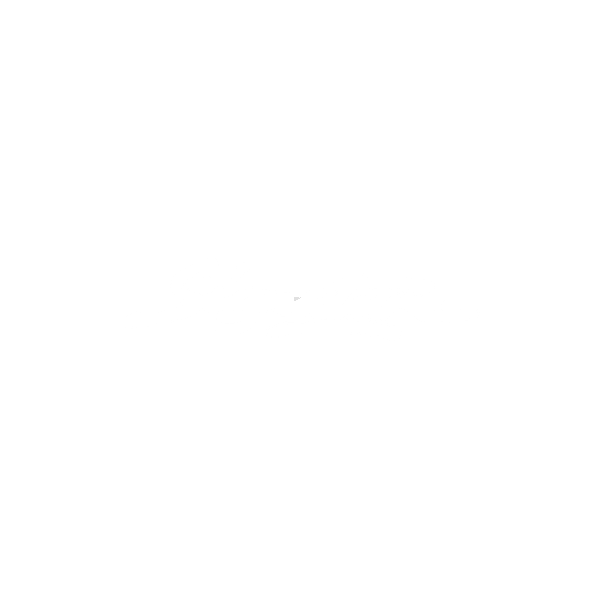 BRAND 24